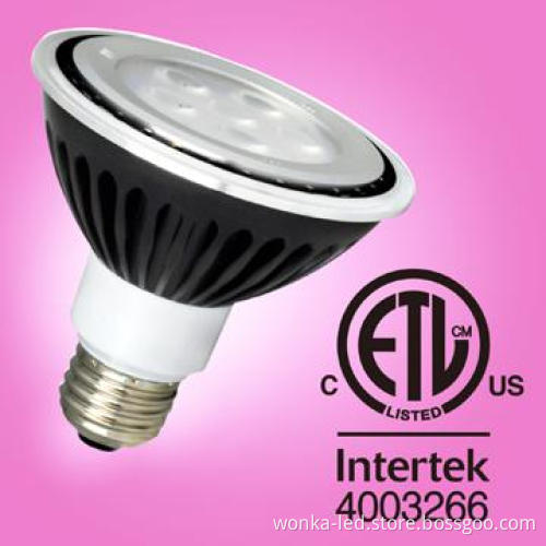 Dimmable CW PAR 30 for stage lighting/LED Project Lighting